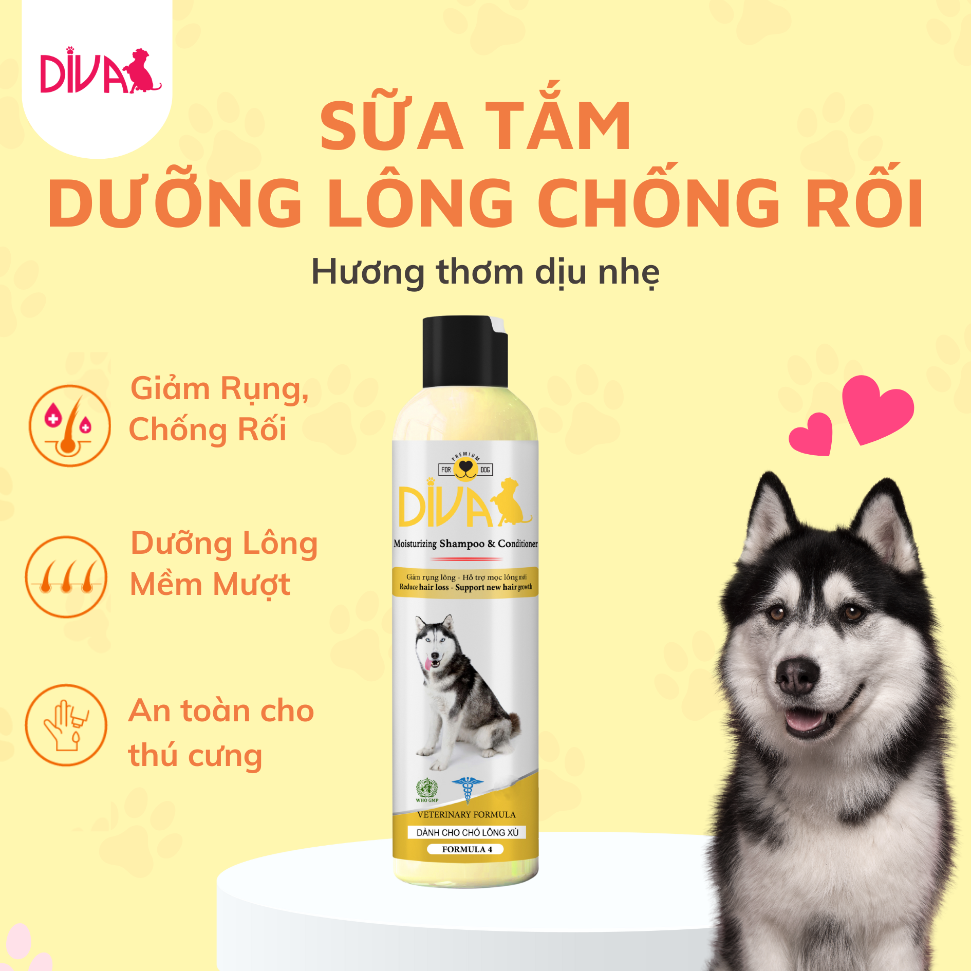  Sữa tắm chó dưỡng lông chống rối DIVA Vàng 260ml 