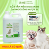  Sữa tắm mèo DIVA Kitten gel giúp da khoẻ, lông mượt 5L 