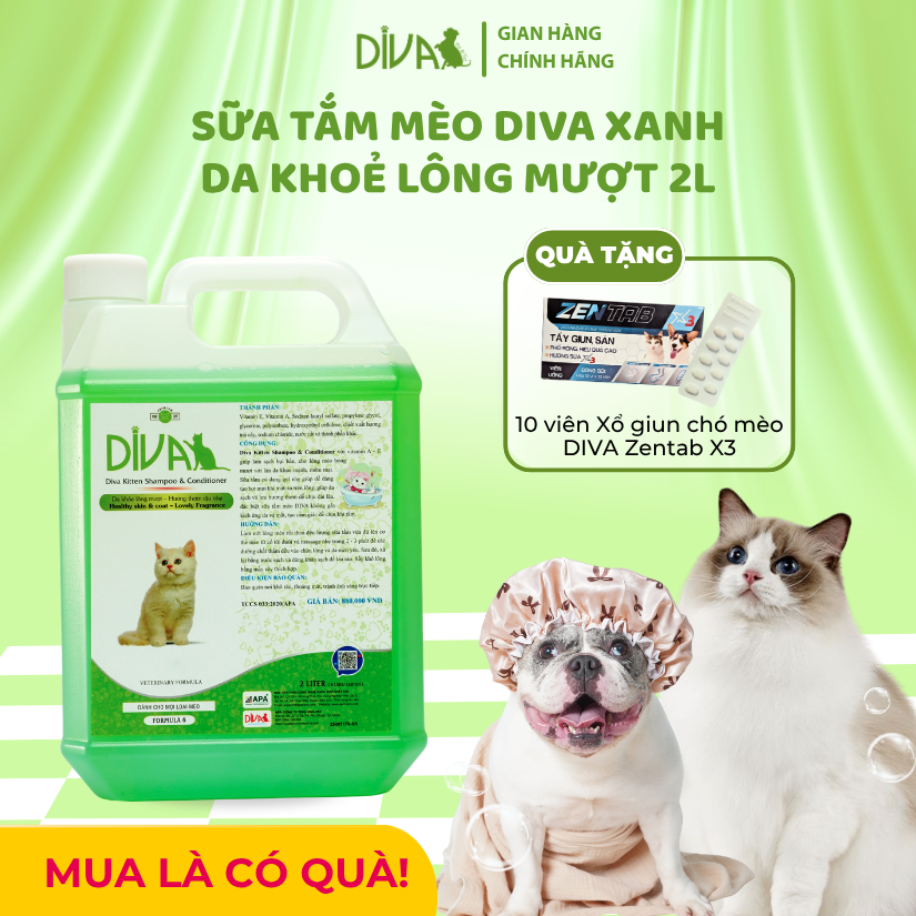  Sữa tắm mèo DIVA Kitten gel giúp da khoẻ, lông mượt 2L 