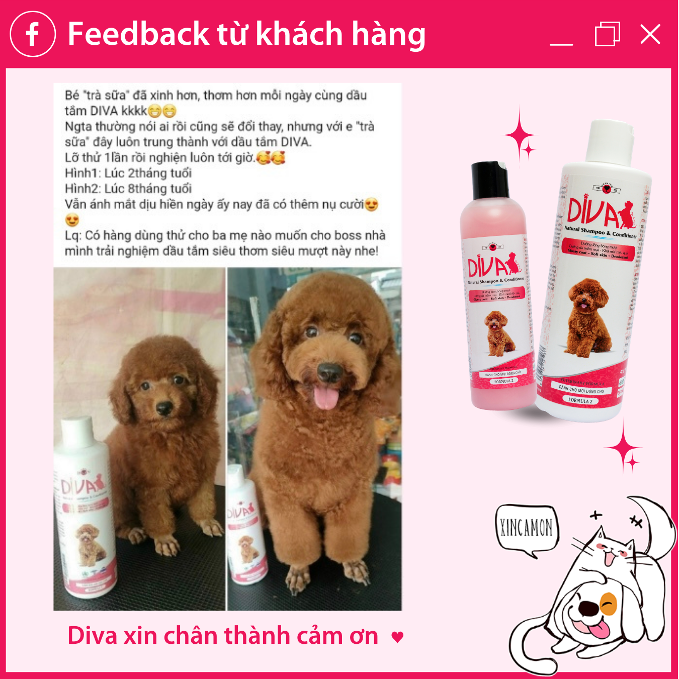  Sữa tắm chó dưỡng ẩm khử mùi DIVA Hồng 55ml 
