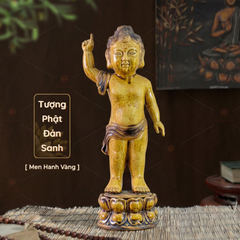 Tượng Phật Đản Sanh