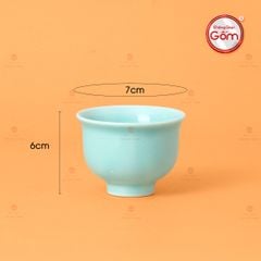 Bộ Ấm Chén An Thổ Túc Quai Ngang (Chén Men Tro)