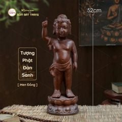 Tượng Phật Đản Sanh