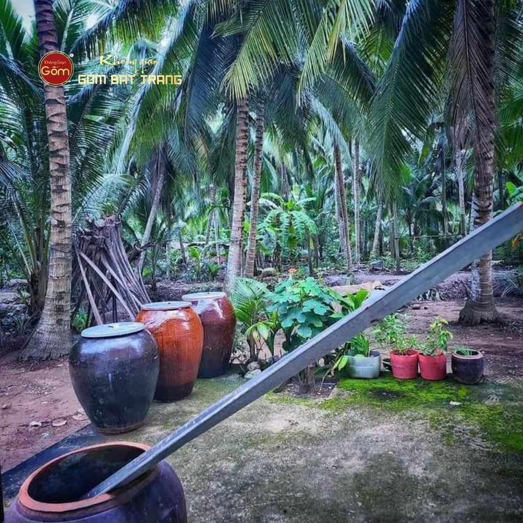 Chum Sành Bình Dương