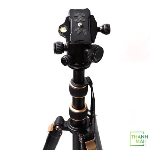 Chân máy ảnh GWNNSH 66