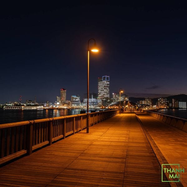 Ống Kính Sigma 15mm F/1.4 DC | Contemporary For Fujifilm X-Mount | Chính Hãng