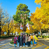 HÀN QUỐC: SEOUL - NAMI ISLAND - EVERLAND