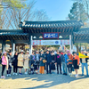 HÀN QUỐC: SEOUL - NAMI ISLAND - EVERLAND