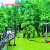 TRUNG QUỐC: THƯỢNG HẢI - Ô TRẤN - HÀNG CHÂU (NO SHOPPING)