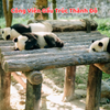 TRUNG QUỐC: THÀNH ĐÔ - CỬU TRẠI CÂU - GIA CÔ SƠN