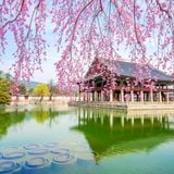  Tour Hàn Quốc 6N5Đ 