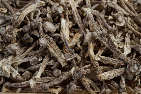  Nấm Nhung Hươu khô cao cấp | 70g 300g 500g 