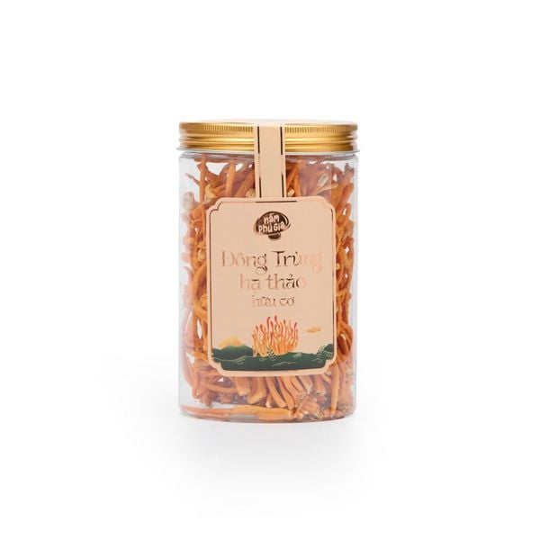  Nấm Đông Trùng Hạ Thảo | Hữu cơ | sấy thăng hoa | 10g/ 30g 