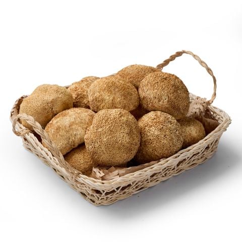  Nấm Hầu Thủ khô | Gói | 100g / 300g / 500g 