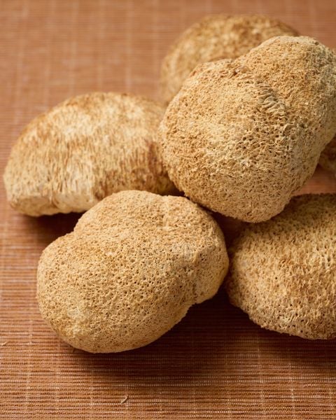  Nấm Hầu Thủ khô | Gói | 100g / 300g / 500g 