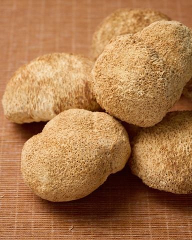  Nấm Hầu Thủ khô | Gói | 100g / 300g / 500g 