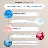  Dầu gội cho nam Fanmen - Ngăn ngừa gầu hiệu quả 350ml