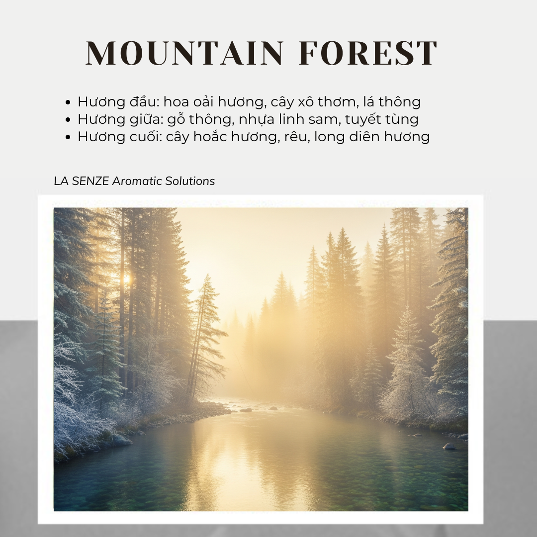  Nến Thơm Tinh Dầu LA SENZE Vintage Aroma Collection - Scents of Memories 