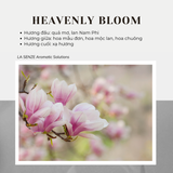  Nến Thơm Tinh Dầu LA SENZE Vintage Aroma Collection - Scents of Memories 