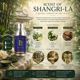  Tinh Dầu Khách Sạn 5 Sao 250ML (Máy Công Nghiệp) - LA SENZE Hotel & Resort Essential Oils 