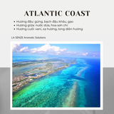  Nến Thơm Tinh Dầu LA SENZE Vintage Aroma Collection - Scents of Memories 