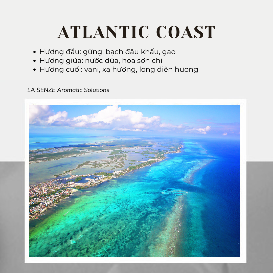  Nến Thơm Tinh Dầu LA SENZE Vintage Aroma Collection - Scents of Memories 