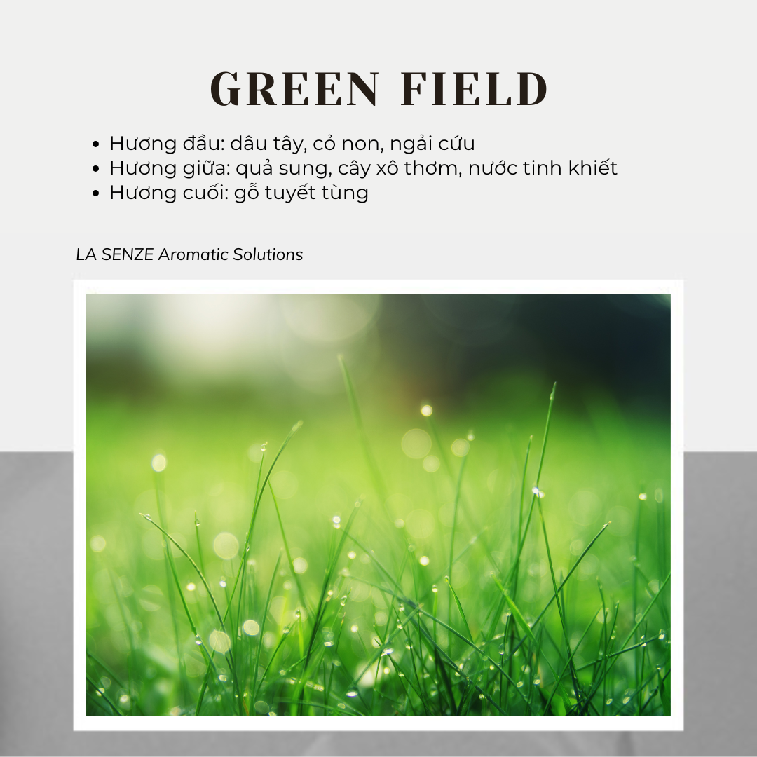  Nến Thơm Tinh Dầu LA SENZE Vintage Aroma Collection - Scents of Memories 