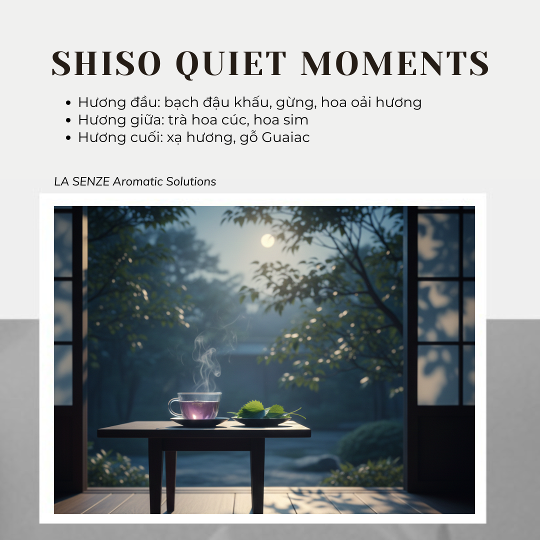  Nến Thơm Tinh Dầu LA SENZE Vintage Aroma Collection - Scents of Memories 