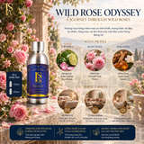  Tinh Dầu Khách Sạn 5 Sao 250ML (Máy Công Nghiệp) - LA SENZE Hotel & Resort Essential Oils 