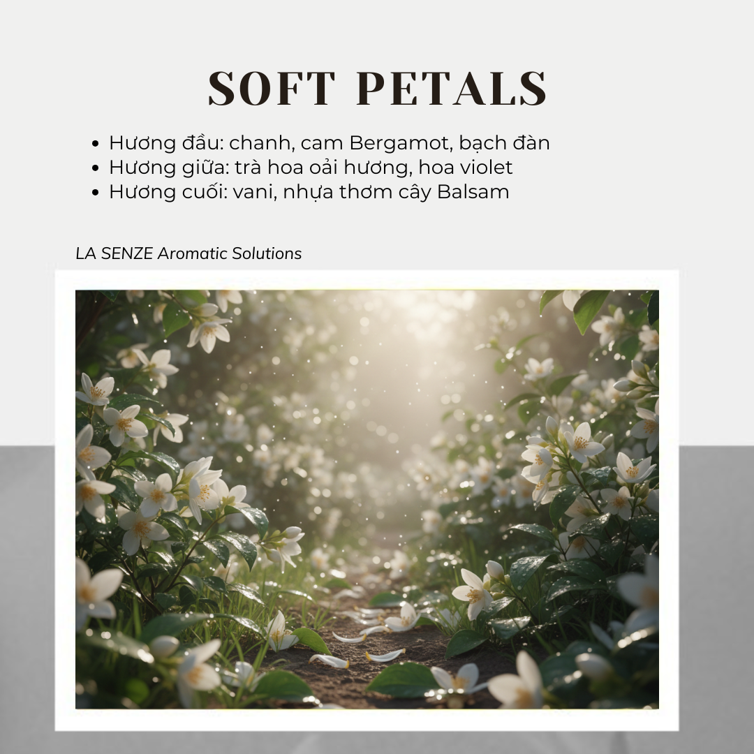  Nến Thơm Tinh Dầu LA SENZE Vintage Aroma Collection - Scents of Memories 