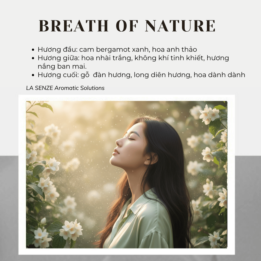  Nến Thơm Tinh Dầu LA SENZE Vintage Aroma Collection - Scents of Memories 