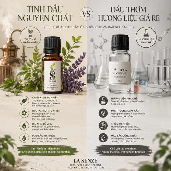  Tinh Dầu Hương Thảo Rosemary Thiên Nhiên LA SENZE 