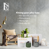  CRYSTAL STONE MOONLIT – Set Đá Phong Thủy Khuếch Tán Tinh Dầu LA SENZE 
