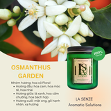  Nến Thơm Tinh Dầu Green Nature Collection - Connect With Mother Earth 