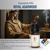  CRYSTAL STONE MOONLIT – Set Đá Phong Thủy Khuếch Tán Tinh Dầu LA SENZE 