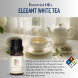  CRYSTAL STONE MOONLIT – Set Đá Phong Thủy Khuếch Tán Tinh Dầu LA SENZE 