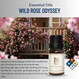  CRYSTAL STONE MOONLIT – Set Đá Phong Thủy Khuếch Tán Tinh Dầu LA SENZE 