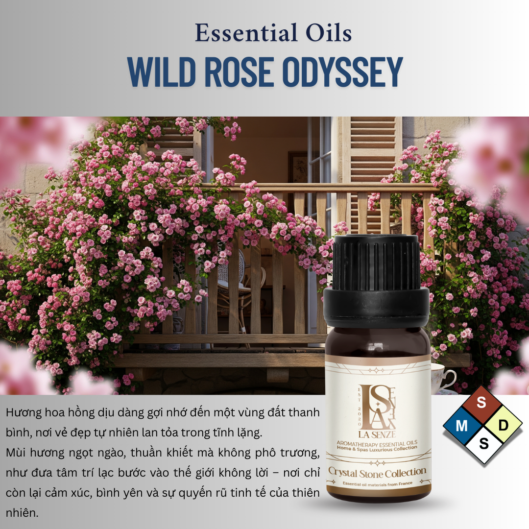  CRYSTAL STONE MOONLIT – Set Đá Phong Thủy Khuếch Tán Tinh Dầu LA SENZE 