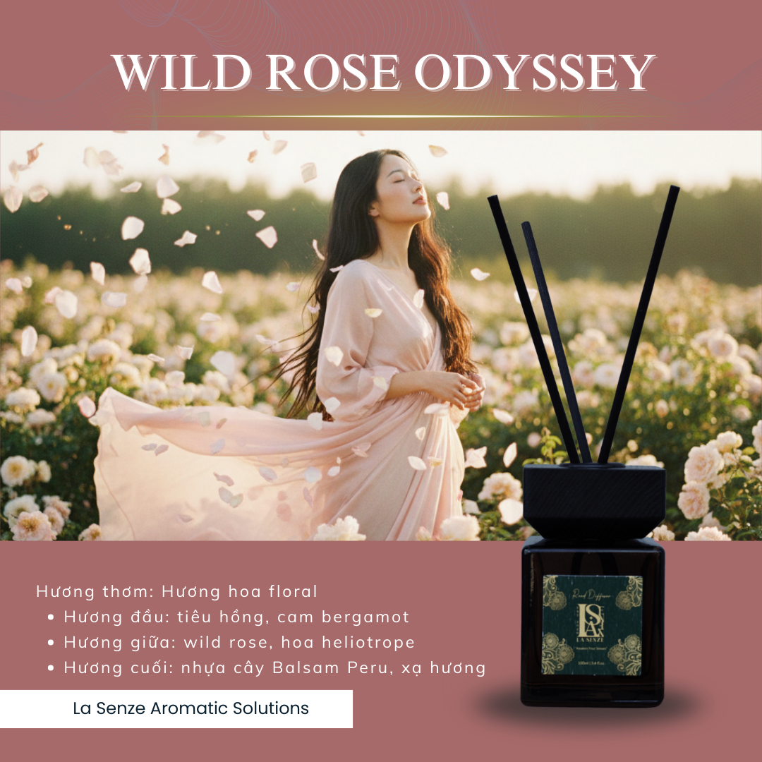  Tinh Dầu Khuếch Tán LA SENZE - NOIR DE LUNE 100ML 