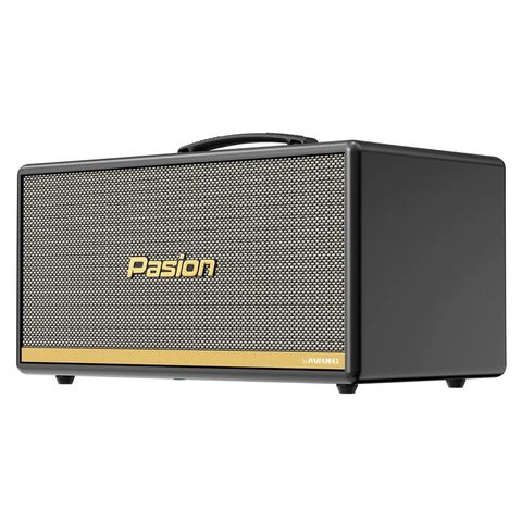  Loa PASION 2C 