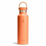 Bình nước giữ nhiệt Hydro Flask Standard Flex Cap 21oz