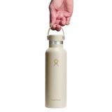 Bình nước giữ nhiệt Hydro Flask Standard Flex Cap 21oz