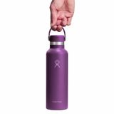 Bình nước giữ nhiệt Hydro Flask Standard Flex Cap 21oz