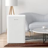 Máy hút ẩm Lumias D6S 12L