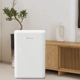 Máy hút ẩm Lumias D6S 12L