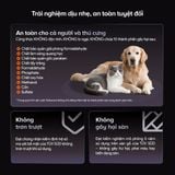 Máy hút bụi cầm tay Roborock F25 ACE Pro