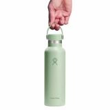 Bình nước giữ nhiệt Hydro Flask Standard Flex Cap 21oz