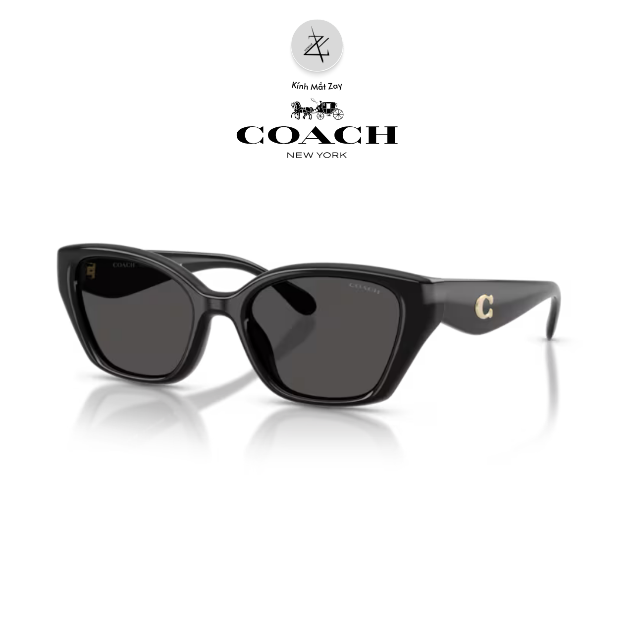  Kính mát Coach 0HC8434U dáng mắt mèo nhựa Injected chính hãng fullbox 