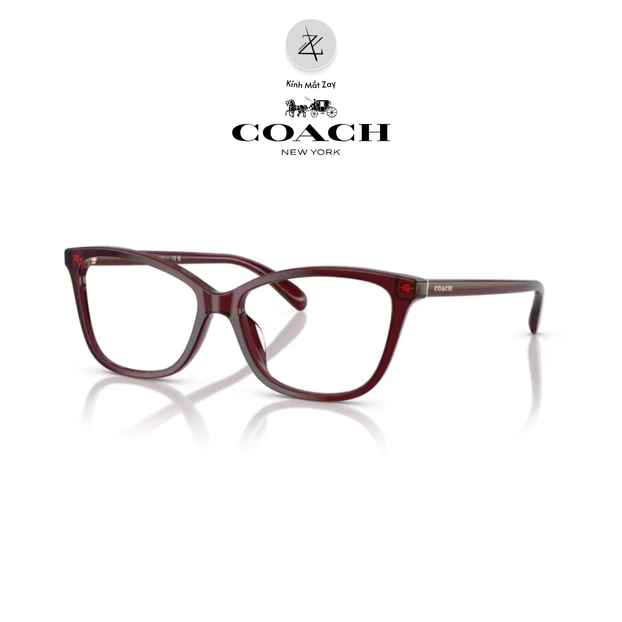  Gọng kính Coach 0HC6206U dáng mắt mèo nhựa Acetate chính hãng fullbox 