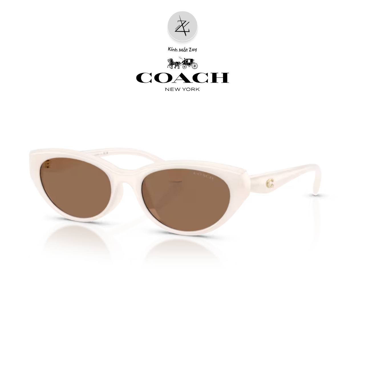  Kính mát Coach 0HC8456D dáng mắt mèo nhựa Injected chính hãng fullbox 